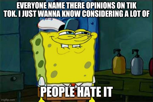 pa lease | EVERYONE NAME THERE OPINIONS ON TIK TOK. I JUST WANNA KNOW CONSIDERING A LOT OF; PEOPLE HATE IT | image tagged in memes,don't you squidward | made w/ Imgflip meme maker