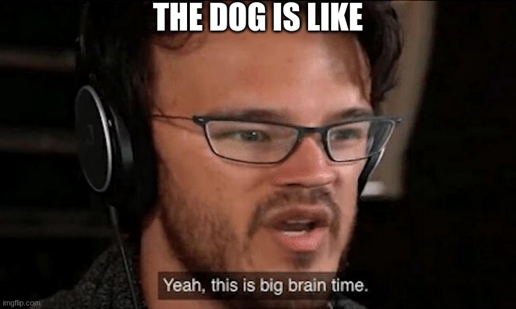 Big Brain Time | THE DOG IS LIKE | image tagged in big brain time | made w/ Imgflip meme maker