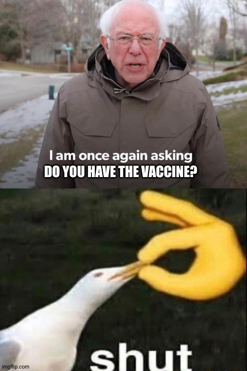DO YOU HAVE THE VACCINE? | image tagged in blank white template | made w/ Imgflip meme maker