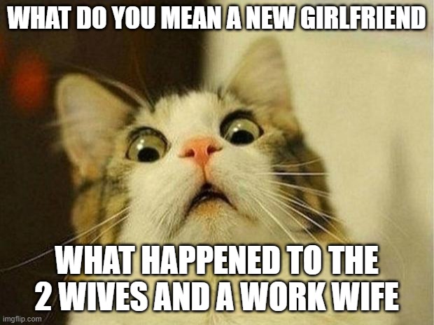 2 skanks, and too many friends | WHAT DO YOU MEAN A NEW GIRLFRIEND; WHAT HAPPENED TO THE 2 WIVES AND A WORK WIFE | image tagged in memes,scared cat,e,q | made w/ Imgflip meme maker