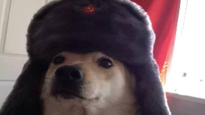 High Quality Comrade Doggo Blank Meme Template