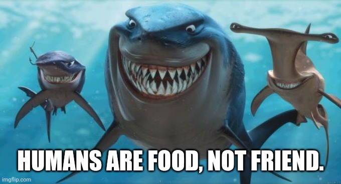 Finding Nemo Sharks | HUMANS ARE FOOD, NOT FRIEND. | image tagged in finding nemo sharks | made w/ Imgflip meme maker