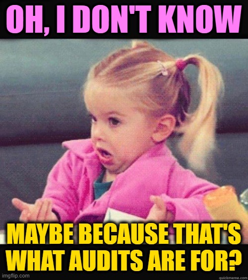 I dont know girl | OH, I DON'T KNOW MAYBE BECAUSE THAT'S WHAT AUDITS ARE FOR? | image tagged in i dont know girl | made w/ Imgflip meme maker