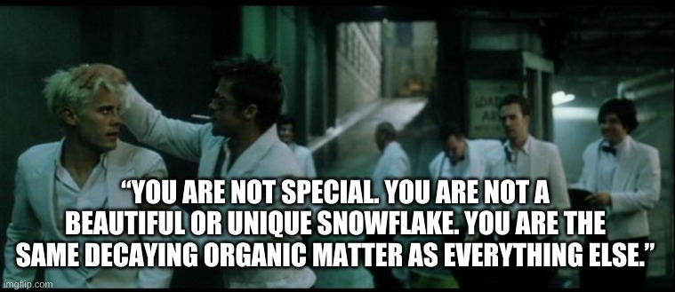 Fight Club - You are not special.  You are not a beautiful or unique snowflake | “YOU ARE NOT SPECIAL. YOU ARE NOT A BEAUTIFUL OR UNIQUE SNOWFLAKE. YOU ARE THE SAME DECAYING ORGANIC MATTER AS EVERYTHING ELSE.” | image tagged in fight club - tyler durden - brad pitt,fight club,quote,life,wisdom,funny | made w/ Imgflip meme maker