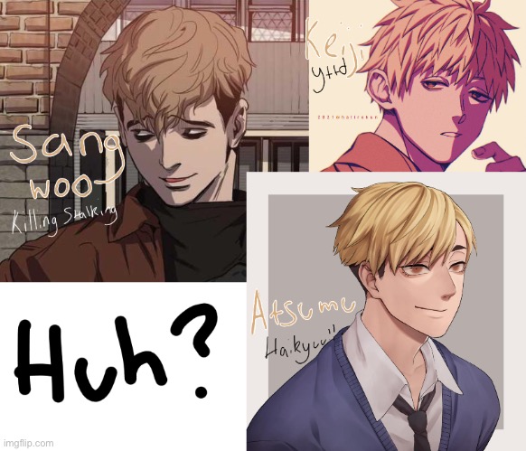 WHY ARE THEY SO SIMILAR? | image tagged in anime,why,what,killing stalking,your turn to die,haikyuu | made w/ Imgflip meme maker