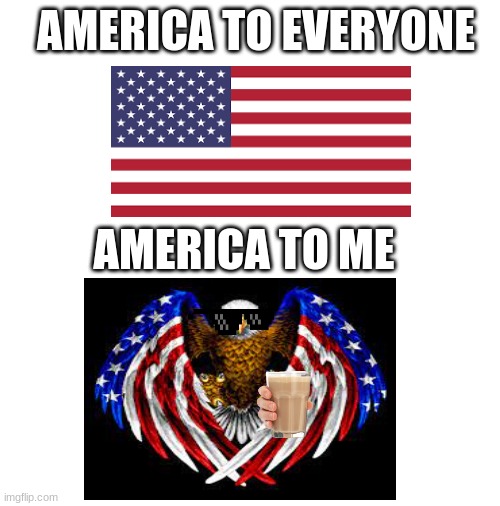 America to me | AMERICA TO EVERYONE; AMERICA TO ME | image tagged in the new eagle,biden2021 | made w/ Imgflip meme maker