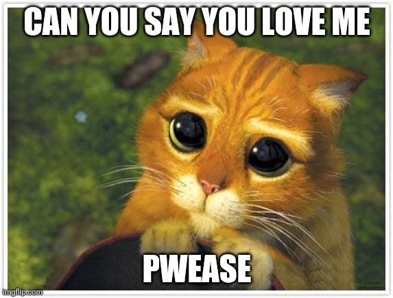 Need love | CAN YOU SAY YOU LOVE ME; PWEASE | image tagged in memes | made w/ Imgflip meme maker