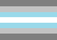 demiboy flag Blank Meme Template