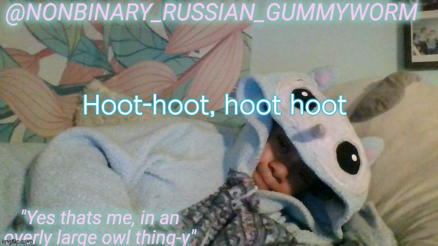 hoot | Hoot-hoot, hoot hoot | image tagged in gummyworm's overly large owl thingy temp | made w/ Imgflip meme maker