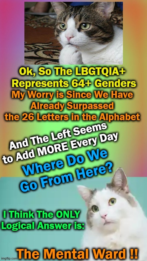 Deep Thoughts From Curious Cat | image tagged in politics,lgbtq,the left,curious question cat,deep thoughts | made w/ Imgflip meme maker