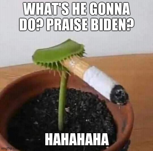 Smoking flytrap | WHAT'S HE GONNA DO? PRAISE BIDEN? HAHAHAHA | image tagged in smoking flytrap | made w/ Imgflip meme maker