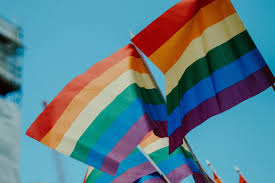Gay pride flags Blank Meme Template