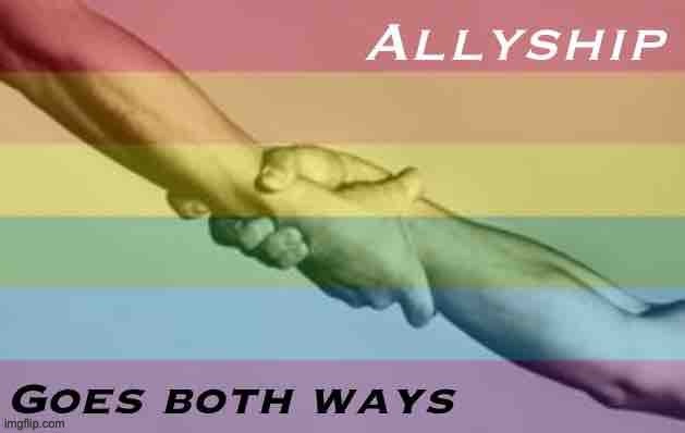 Allyship goes both ways | image tagged in allyship goes both ways | made w/ Imgflip meme maker