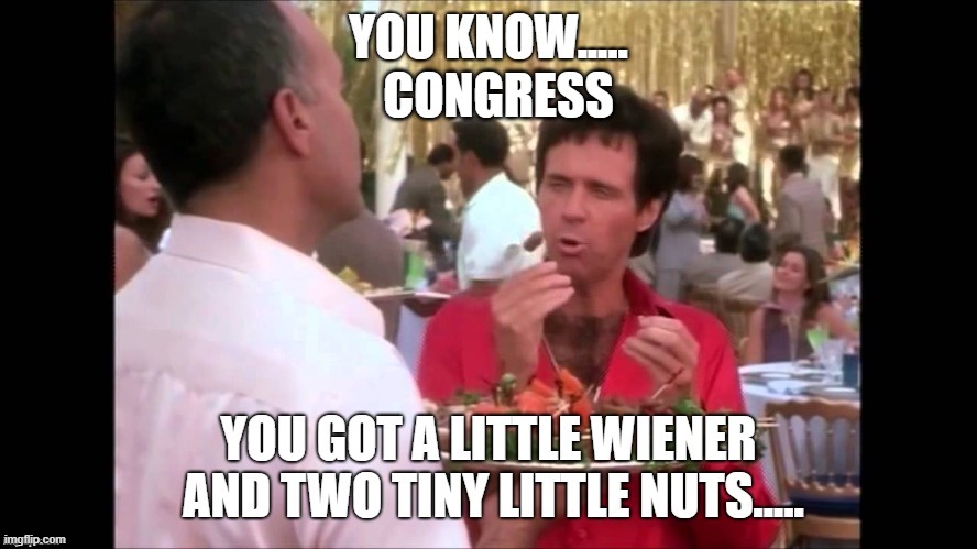 Congress is impotent. | CONGRESS | image tagged in congress | made w/ Imgflip meme maker