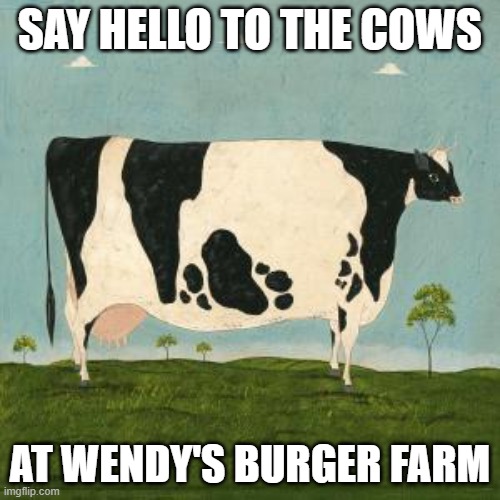Wendy's cows | SAY HELLO TO THE COWS; AT WENDY'S BURGER FARM | image tagged in burger,rectangle,square | made w/ Imgflip meme maker