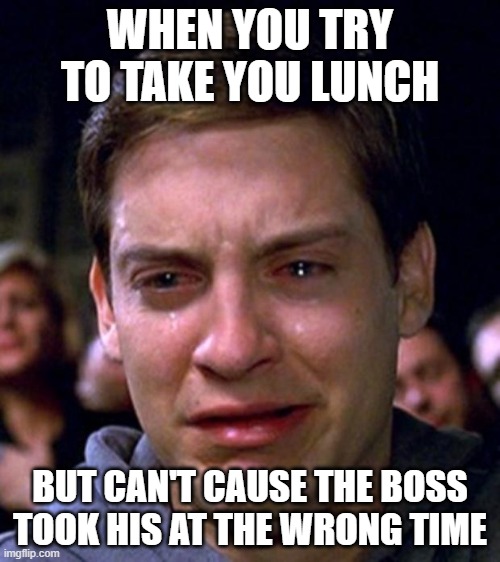 I just wanted to go to lunch | WHEN YOU TRY TO TAKE YOU LUNCH; BUT CAN'T CAUSE THE BOSS TOOK HIS AT THE WRONG TIME | image tagged in crying peter parker | made w/ Imgflip meme maker