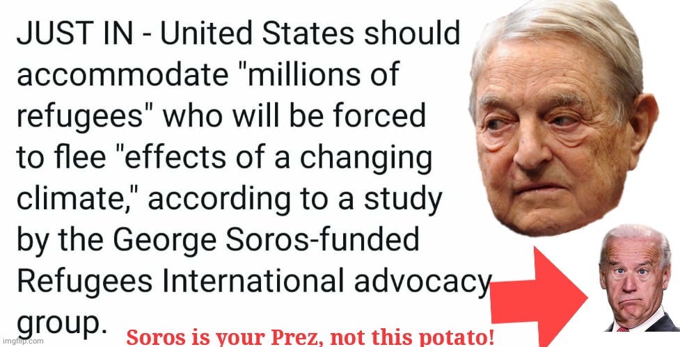 Soros Refugee Scam | Soros is your Prez, not this potato! | image tagged in blank white template | made w/ Imgflip meme maker