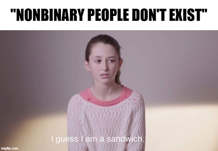 Old but gold | "NONBINARY PEOPLE DON'T EXIST" | image tagged in i guess i am a sandwich,trans | made w/ Imgflip meme maker