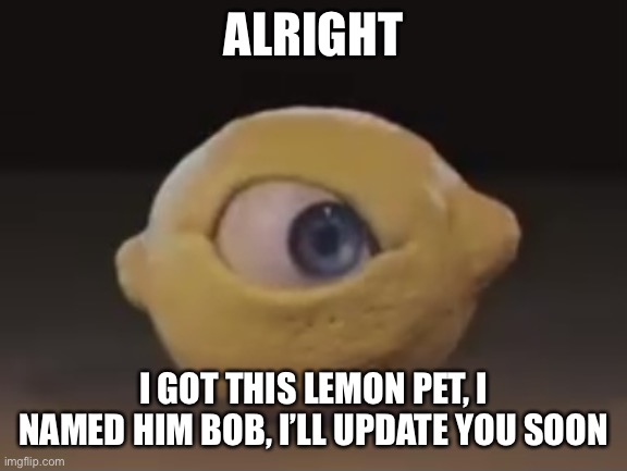 Omega Mart Lemon | ALRIGHT; I GOT THIS LEMON PET, I NAMED HIM BOB, I’LL UPDATE YOU SOON | image tagged in omega mart lemon | made w/ Imgflip meme maker