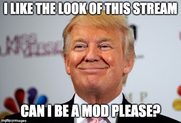 This is my stream: imgflip.com/m/ConservativePolitics | I LIKE THE LOOK OF THIS STREAM; CAN I BE A MOD PLEASE? | image tagged in donald trump approves | made w/ Imgflip meme maker