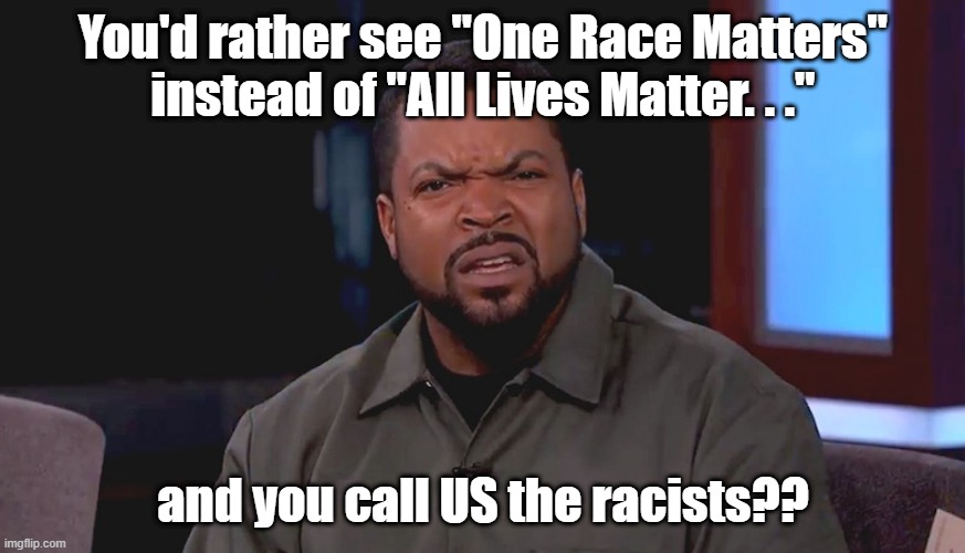 Really? Ice Cube | You'd rather see "One Race Matters" instead of "All Lives Matter. . ."; and you call US the racists?? | image tagged in really ice cube | made w/ Imgflip meme maker