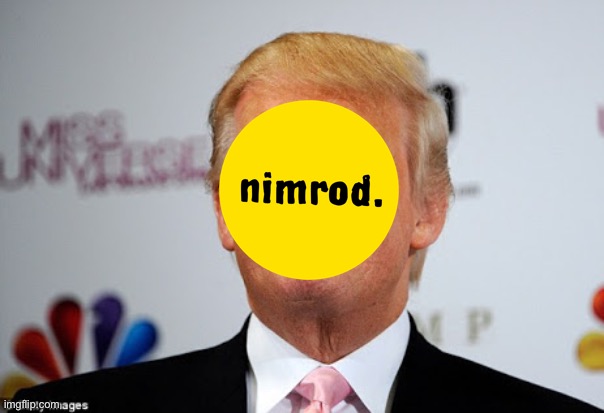 Something new Im doing | image tagged in donald trump approves | made w/ Imgflip meme maker