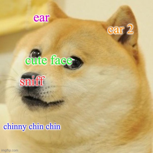 ddooggee | ear; ear 2; cute face; sniff; chinny chin chin | image tagged in memes,doge | made w/ Imgflip meme maker