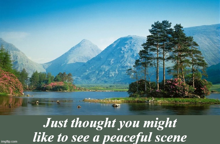 Click to see full size | Just thought you might like to see a peaceful scene | image tagged in peaceful,summer,nice,serene | made w/ Imgflip meme maker
