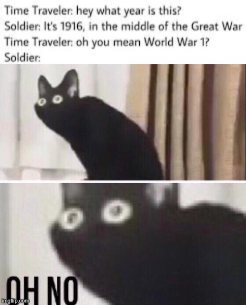 dang lol | image tagged in oh no cat,dark humor,world war 1,world war 2,funny | made w/ Imgflip meme maker