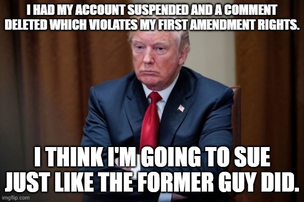 Man Baby Trump | I HAD MY ACCOUNT SUSPENDED AND A COMMENT DELETED WHICH VIOLATES MY FIRST AMENDMENT RIGHTS. I THINK I'M GOING TO SUE JUST LIKE THE FORMER GUY DID. | image tagged in man baby trump | made w/ Imgflip meme maker