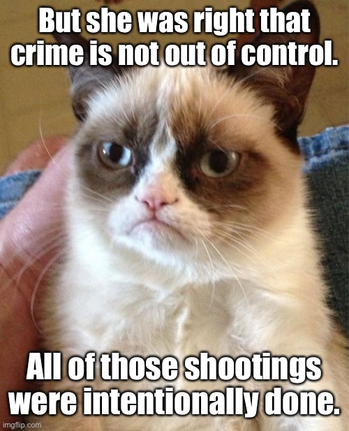 Grumpy Cat Meme | But she was right that crime is not out of control. All of those shootings were intentionally done. | image tagged in memes,grumpy cat | made w/ Imgflip meme maker