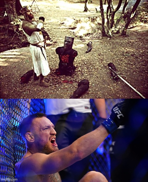 It’s just a Flesh Wound | image tagged in black knight,conor mcgregor | made w/ Imgflip meme maker