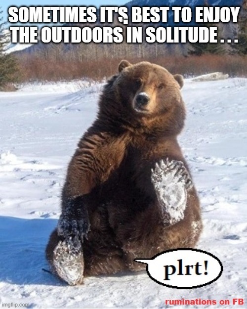 Alone Outdoors | . | image tagged in bear,outdoors | made w/ Imgflip meme maker