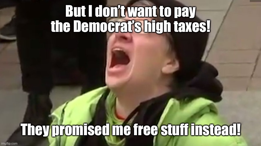 Screaming Liberal  | But I don’t want to pay the Democrat’s high taxes! They promised me free stuff instead! | image tagged in screaming liberal | made w/ Imgflip meme maker