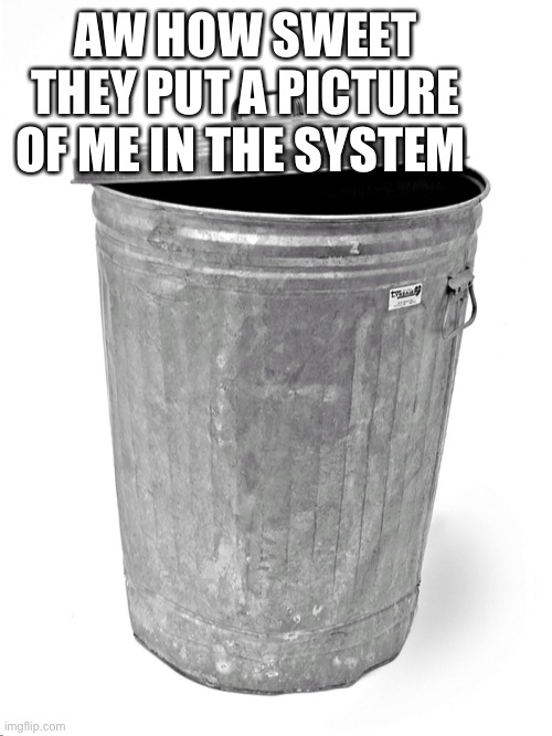 Trash Can |  AW HOW SWEET THEY PUT A PICTURE OF ME IN THE SYSTEM | image tagged in trash can | made w/ Imgflip meme maker