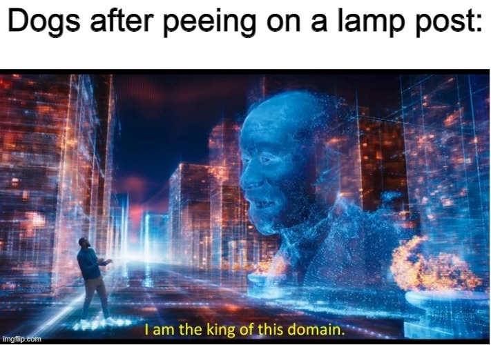 domain |  Dogs after peeing on a lamp post: | image tagged in space jam | made w/ Imgflip meme maker