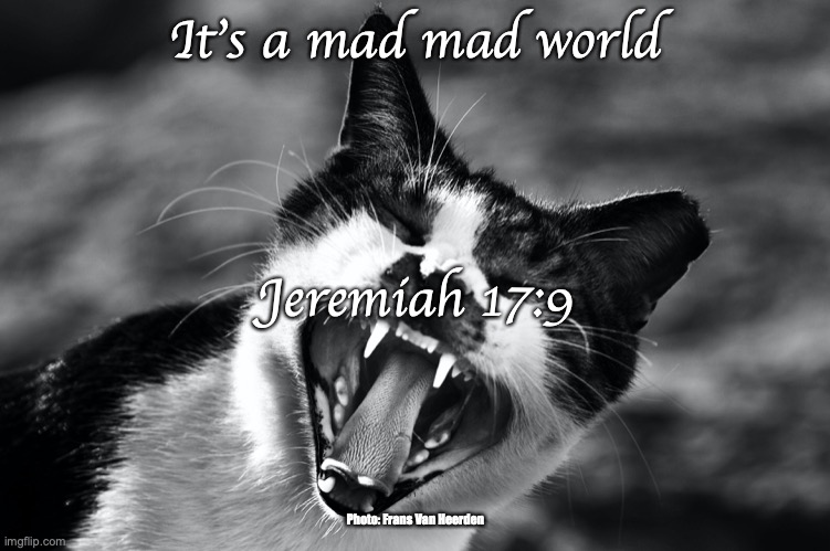 It's a mad house! | It's a mad mad world; Jeremiah 17:9; Photo: Frans Van Heerden | image tagged in wretched | made w/ Imgflip meme maker