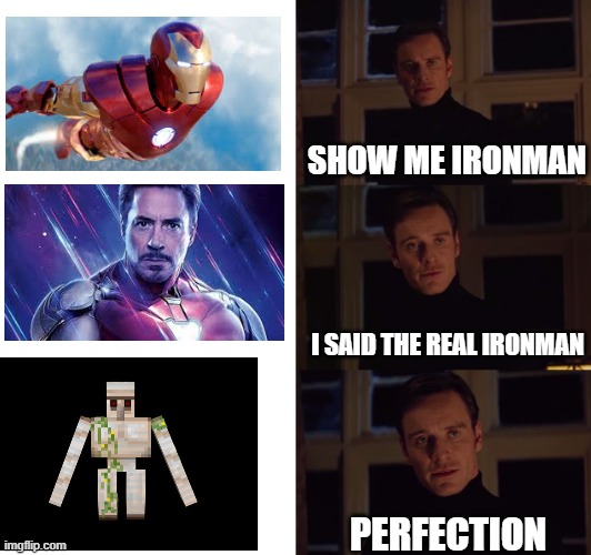 ironman | SHOW ME IRONMAN; I SAID THE REAL IRONMAN; PERFECTION | image tagged in perfection,iron man | made w/ Imgflip meme maker