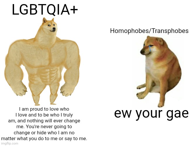 I used your instead of you're for realism :) | LGBTQIA+; Homophobes/Transphobes; ew your gae; I am proud to love who I love and to be who I truly am, and nothing will ever change me. You're never going to change or hide who I am no matter what you do to me or say to me. | image tagged in memes,buff doge vs cheems | made w/ Imgflip meme maker
