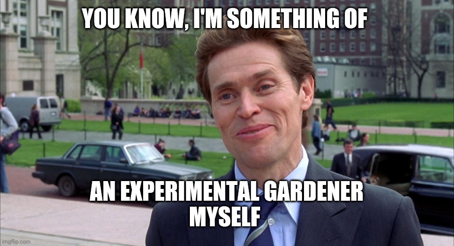 green goblin | YOU KNOW, I'M SOMETHING OF; AN EXPERIMENTAL GARDENER
MYSELF | image tagged in green goblin | made w/ Imgflip meme maker