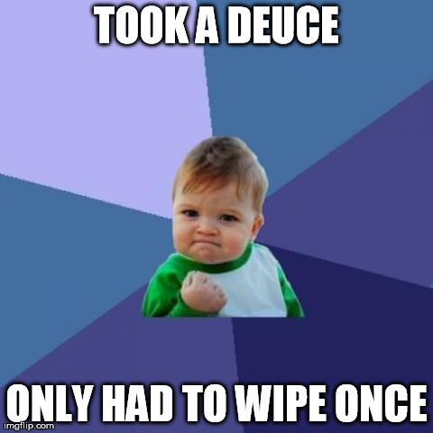 Success Kid | TOOK A DEUCE ONLY HAD TO WIPE ONCE | image tagged in memes,success kid | made w/ Imgflip meme maker