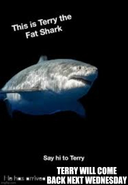 Terry the fat shark | TERRY WILL COME BACK NEXT WEDNESDAY | image tagged in terry the fat shark | made w/ Imgflip meme maker