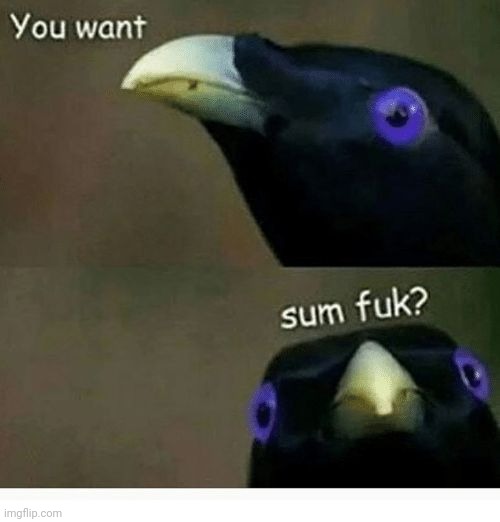 u want sum fuk | image tagged in u want sum fuk | made w/ Imgflip meme maker