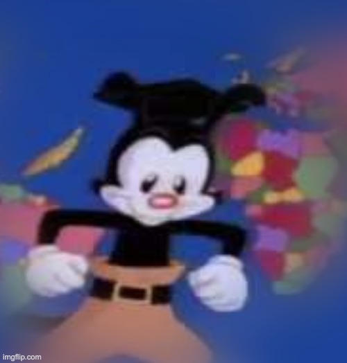 YAKKO | image tagged in yakko | made w/ Imgflip meme maker