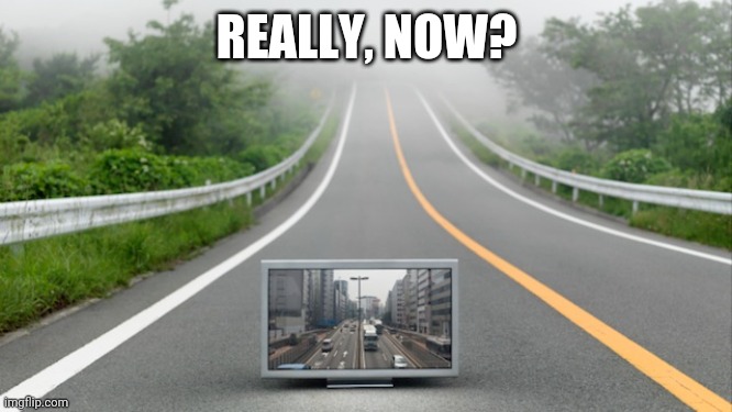 Fake Reality | REALLY, NOW? | image tagged in fake reality | made w/ Imgflip meme maker