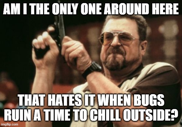 Hornets and Mosquitoes are the worst | AM I THE ONLY ONE AROUND HERE; THAT HATES IT WHEN BUGS RUIN A TIME TO CHILL OUTSIDE? | image tagged in memes,am i the only one around here | made w/ Imgflip meme maker