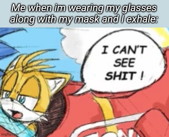 I can't see shit tails | Me when im wearing my glasses along with my mask and I exhale: | image tagged in i can't see shit tails | made w/ Imgflip meme maker