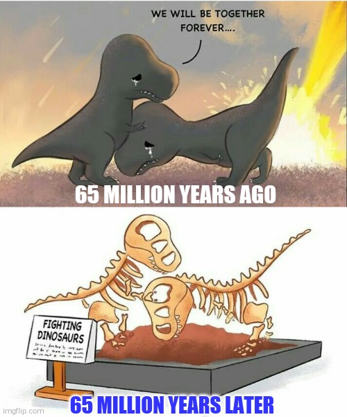 Reality vs Science |  65 MILLION YEARS AGO; 65 MILLION YEARS LATER | image tagged in funny memes | made w/ Imgflip meme maker