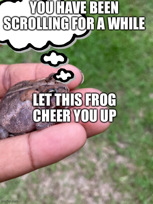 Frog toad same thing | YOU HAVE BEEN SCROLLING FOR A WHILE; LET THIS FROG CHEER YOU UP | image tagged in kermit the frog | made w/ Imgflip meme maker