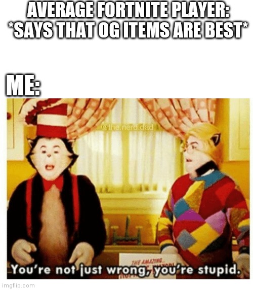 AVERAGE FORTNITE PLAYER: *SAYS THAT OG ITEMS ARE BEST*; ME: | image tagged in blank white template,you're not just wrong your stupid | made w/ Imgflip meme maker